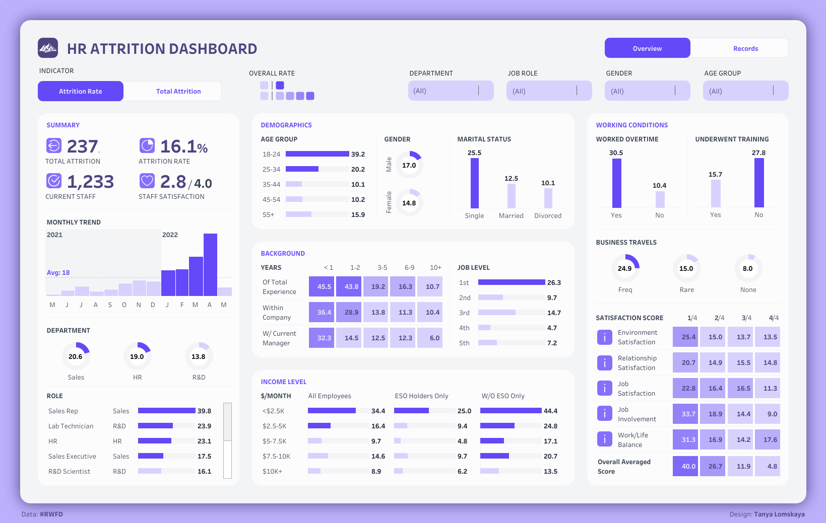 Data analyst portfolio preview